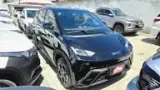 BYD Dolphin Mini - Miniatura 8
