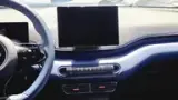 BYD Dolphin Mini - Miniatura 9
