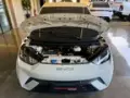 BYD Dolphin Mini - Miniatura 6