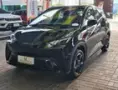 BYD Dolphin - Miniatura 1