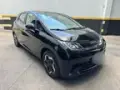 BYD Dolphin - Miniatura 1