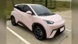 BYD Dolphin Mini - Miniatura 3