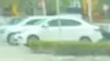 BYD Dolphin Mini - Miniatura 8