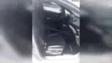 BYD Dolphin Plus - Miniatura 4