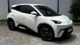 BYD Dolphin Mini - Miniatura 1