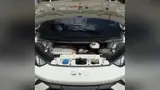 BYD Dolphin Mini - Miniatura 8