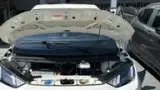 BYD Dolphin Mini - Miniatura 7