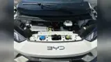 BYD Dolphin Mini - Miniatura 8