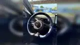 BYD Dolphin Mini - Miniatura 4