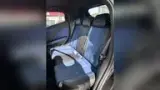 BYD Dolphin Mini - Miniatura 9
