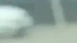 BYD Dolphin Mini - Miniatura 2