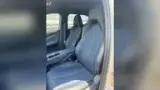 BYD Dolphin Mini - Miniatura 4