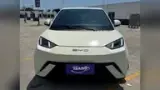 BYD Dolphin Mini - Miniatura 5