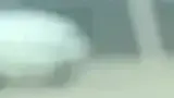 BYD Dolphin Mini - Miniatura 10