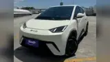 BYD Dolphin Mini - Miniatura 15