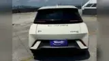 BYD Dolphin Mini - Miniatura 17