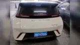 BYD Dolphin Mini - Miniatura 7
