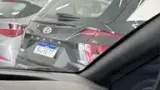 BYD Dolphin - Miniatura 8