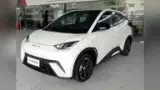 BYD Dolphin Mini - Miniatura 1