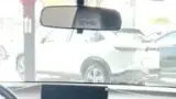 BYD Dolphin Mini - Miniatura 9