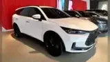 BYD Tang - Miniatura 1