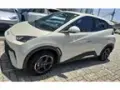 BYD Dolphin Mini - Miniatura 1