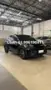 BYD Dolphin Mini - Miniatura 1