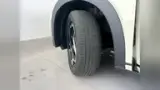 BYD Dolphin - Miniatura 9
