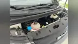 BYD Dolphin - Miniatura 12