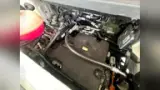 BYD Dolphin - Miniatura 14
