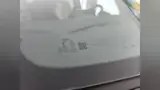 BYD Dolphin - Miniatura 17