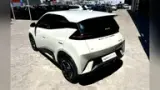 BYD Dolphin Mini - Miniatura 7