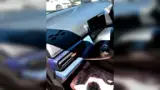 BYD Dolphin Mini - Miniatura 13