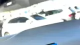 BYD Dolphin Mini - Miniatura 14