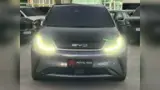 BYD Dolphin Plus - Miniatura 2