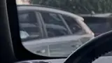 BYD Dolphin Plus - Miniatura 6
