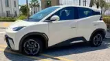BYD Dolphin Mini - Miniatura 1