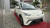 BYD Dolphin Mini - Miniatura 3