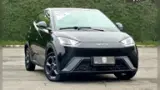 BYD Dolphin Mini - Miniatura 1
