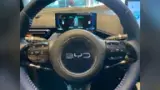 BYD Dolphin Mini - Miniatura 12