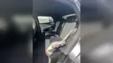 BYD Dolphin - Miniatura 7