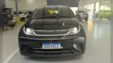 BYD Dolphin - Miniatura 1