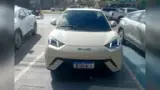 BYD Dolphin Mini - Miniatura 1