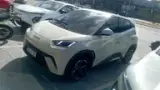 BYD Dolphin Mini - Miniatura 2