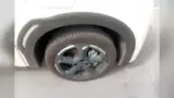 BYD Dolphin Mini - Miniatura 7