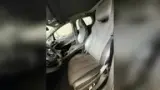 BYD Dolphin Plus - Miniatura 8