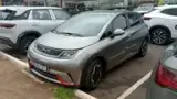 BYD Dolphin - Miniatura 1