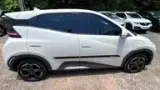 BYD Dolphin Mini - Miniatura 6