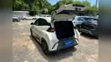 BYD Dolphin Mini - Miniatura 8