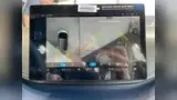 BYD Dolphin Mini - Miniatura 9